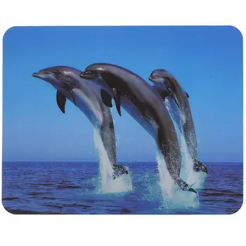 Коврик для мыши Buro