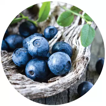 Коврик для мыши Buro