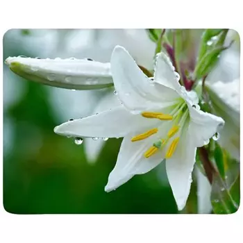 Коврик для мыши Buro