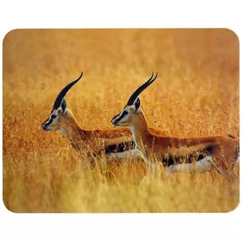 Коврик для мыши Buro