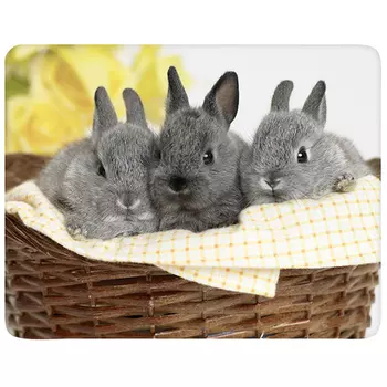 Коврик для мыши Buro