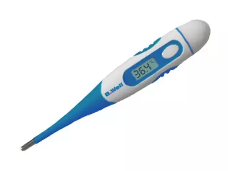 Термометр B.Well