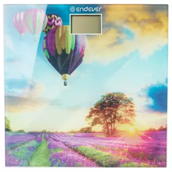 Весы электронные Endever