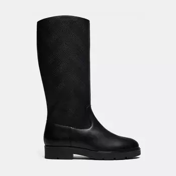 Сапоги PAOLINA-D