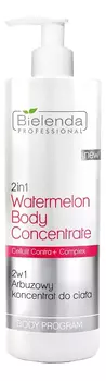 Арбузный концентрат для тела Body Program Watermelon Body Concentrate 450мл