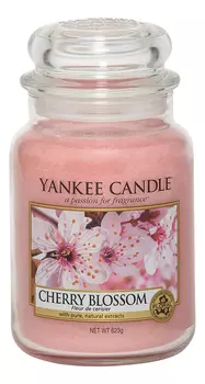 Ароматическая свеча Cherry Blossom: Свеча 623г