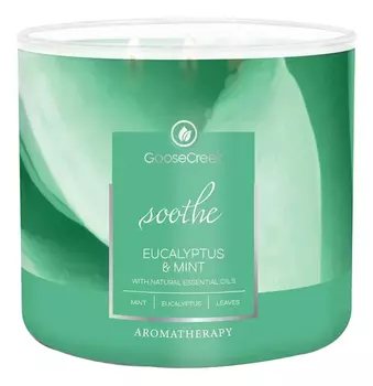 Ароматическая свеча Eucalyptus &amp; Mint (Эвкалипт и мята): свеча 411г