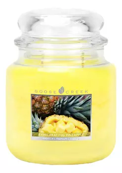 Ароматическая свеча Exhilarating Pineapple (Бодрящий Ананас): свеча 454г