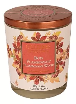 Ароматическая свеча Flamboyant Wood (цветное дерево): Свеча 180г