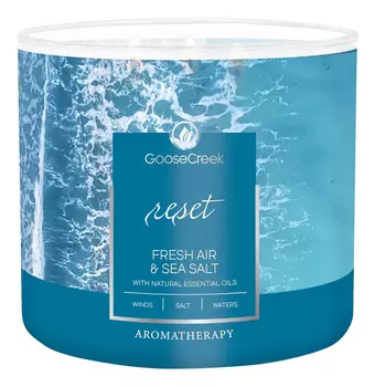 Ароматическая свеча Fresh Air &amp; Sea Salt (Свежий воздух и морская соль): свеча 411г