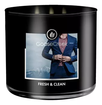 Ароматическая свеча Fresh &amp; Clean (Свежий и чистый): свеча 411г