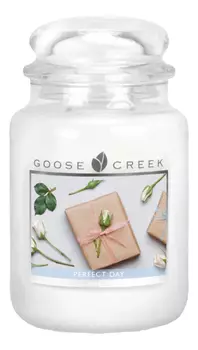Ароматическая свеча Perfect Day (Идеальный день): свеча 680г