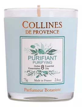 Ароматическая свеча Purifying (очищающий аромат): Свеча 75г