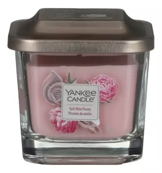 Ароматическая свеча Salt Mist Peony: Свеча 96г