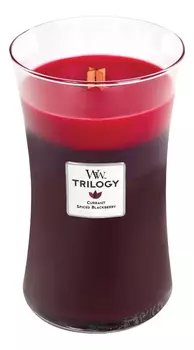 Ароматическая свеча Spiceb Blackerry: свеча 609,5г