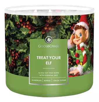 Ароматическая свеча Treat Your Elf (Угощение для Эльфа): свеча 411г