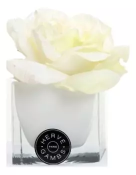 Ароматический диффузор (белый): диффузор (белая роза)