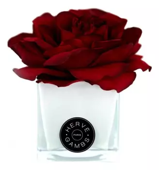 Ароматический диффузор (белый): диффузор (роза красная)