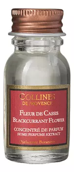 Ароматический концентрат для ультразвукового диффузора Les Naturelles 15мл: Blackcurrant Flower