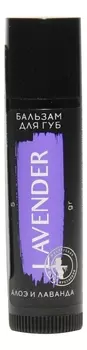 Бальзам для губ с экстрактом алоэ вера и лаванды Lavender 5г