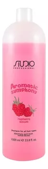 Бальзам для всех типов волос Малина Studio Aromatic Symphony 1000мл: Бальзам 1000мл