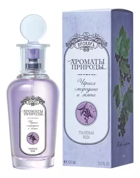 Ароматы природы Черная смородина и мята: туалетная вода 100мл