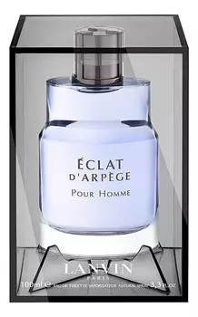 Eclat d'Arpege Pour Homme: туалетная вода 100мл