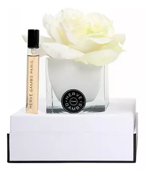 Herbe Intense: набор (диффузор Белая роза + белый куб + т/вода 10мл)