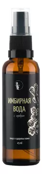 Имбирная вода с серебром: Вода 45мл