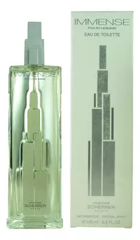Immense Pour Homme: туалетная вода 100мл