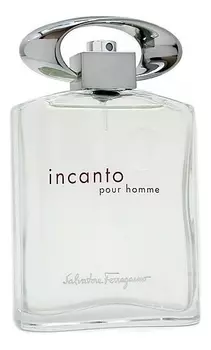 Incanto pour homme: туалетная вода 100мл уценка