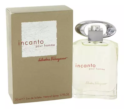 Incanto pour homme: туалетная вода 50мл