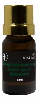 Эфирное масло Розмарин цинеольный экстра Rosmarinus Officinalis: Масло 10мл