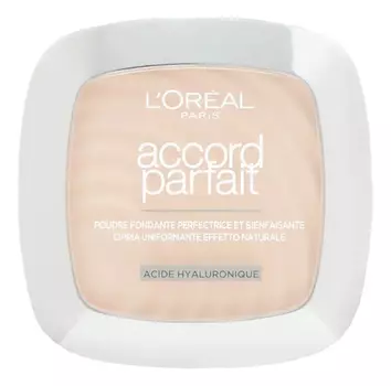 Компактная пудра для лица Accord Parfait 9г: N2 Ванильный