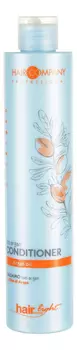 Кондиционер для волос с экстрактом масла арганы Hair Light Bio Argan Conditioner: Кондиционер 250мл
