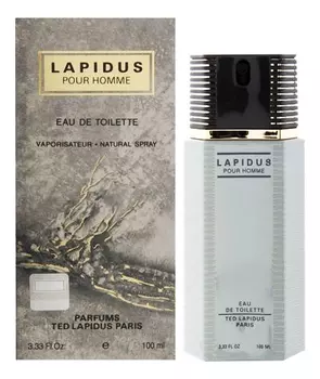 Lapidus Pour Homme: туалетная вода 100мл