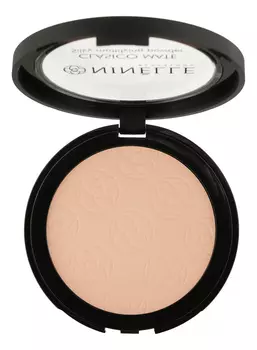 Легкая пудра для лица матовая Clasico Mate Silky Mattifying Powder 8г: No 201