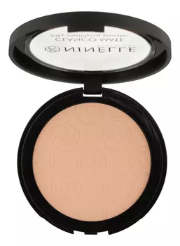 Легкая пудра для лица матовая Clasico Mate Silky Mattifying Powder 8г: No 203