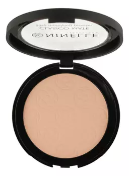 Легкая пудра для лица матовая Clasico Mate Silky Mattifying Powder 8г: No 204