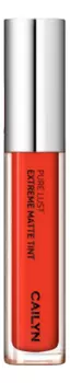 Матовый тинт для губ Pure Lust Extreme Matte Tint 3,5мл: 10 Optimist