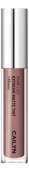 Матовый тинт для губ Pure Lust Extreme Matte Tint + Mousse 3,5мл: 68 Curiosity
