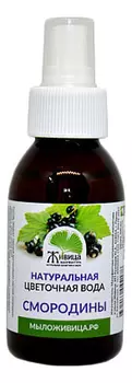 Натуральная цветочная вода Смородины: Вода 100мл