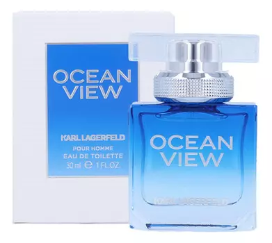 Ocean View Pour Homme: туалетная вода 30мл