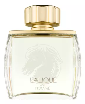 Pour Homme Equus: туалетная вода 75мл уценка
