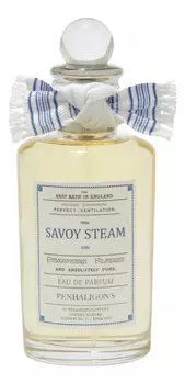 Savoy Steam Eau De Parfum: парфюмерная вода 100мл уценка
