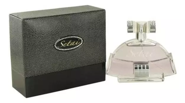 Setai Men: туалетная вода 100мл