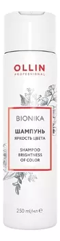 Шампунь для окрашенных волос Яркость цвета Bionika Shampoo For Colored Hair Brightness Of Color: Шампунь 250мл