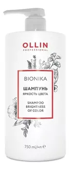 Шампунь для окрашенных волос Яркость цвета Bionika Shampoo For Colored Hair Brightness Of Color: Шампунь 750мл
