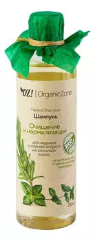 Шампунь для волос Очищение и нормализация Natural Shampoo 250мл: Шампунь 250мл