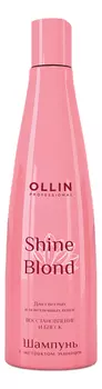 Шампунь для волос с экстрактом эхинацеи Shine Blond 300мл